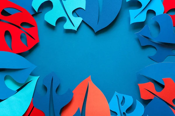 Yaz tropikal bitki arka plan. Monstera çerçeve bırakır. Canlı renkler. Kağıdı tarzı kesin. Düz yatıyordu. Kopya alanı.