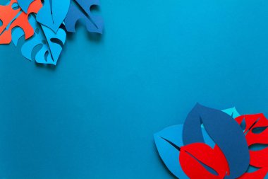 Yaz tropikal bitki arka plan. Monstera çerçeve bırakır. Canlı renkler. Kağıdı tarzı kesin. Düz yatıyordu. Kopya alanı.