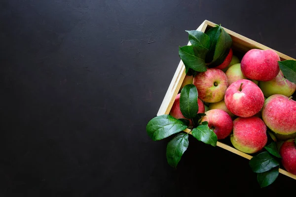 Manzanas Rojas Frescas Caja Madera Sobre Fondo Negro Vista Superior — Foto de Stock