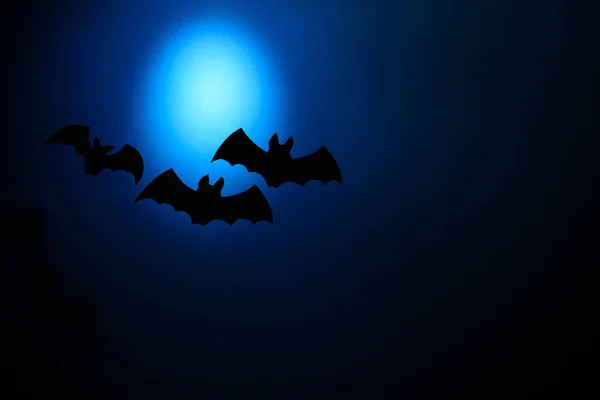 Czarny Papier Nietoperzy Latające Ciemnym Niebieskim Tle Koncepcja Halloween Styl — Zdjęcie stockowe