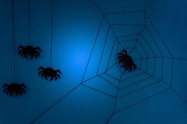 Siyah kağıt örümcek web üzerinde koyu mavi arka plan ile. Cadılar Bayramı kavramı. Kağıdı tarzı kesin. Üstten görünüm