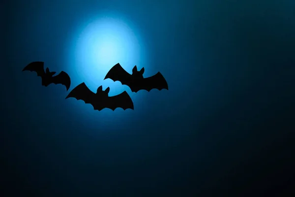 Fekete Papír Denevérek Repülő Sötétkék Háttérrel Halloween Koncepció Papír Vágott — Stock Fotó