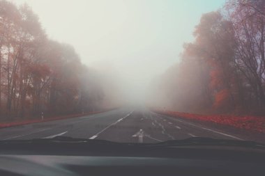 Sonbahar yol sisli ormanın içinde. Yumuşak odak. Tonda
