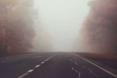 Sonbahar yol sisli ormanın içinde. Yumuşak odak. Tonda