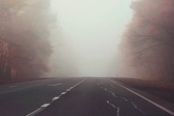 Sonbahar Yol Sisli Ormanın Içinde Yumuşak Odak Tonda — Stok fotoğraf