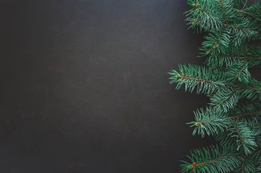 Noel sınır. Köknar koyu ahşap arka plan ağaç dallarında. Üstten görünüm. Uzay kopyalayın. Tonda