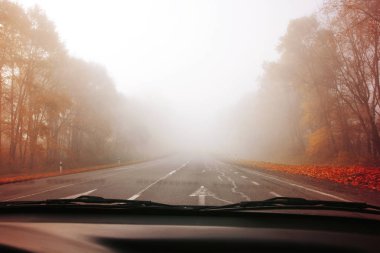 Sonbahar yol sisli ormanın içinde. Yumuşak odak. Tonda