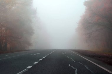 Sonbahar yol sisli ormanın içinde. Yumuşak odak. Tonda