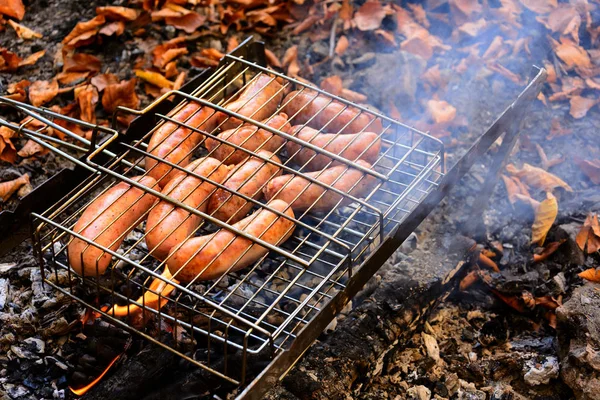 Grilling Sausages Barbecue Grill Bbq Autumn Forest Close Soft Focus — Stock Photo, Image