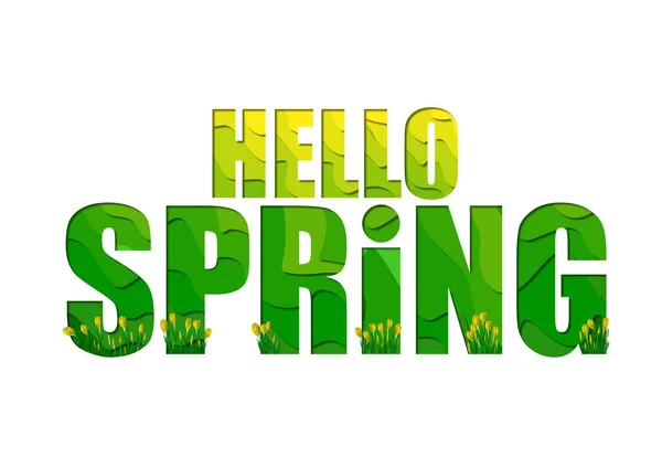 Papier Ausgeschnitten Stil Hallo Frühling Mit Gelben Krokusblüten — Stockfoto