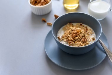 Granola kaseyle (yulaf lapası) yaban mersini, bal ve süt gri tablosudur. Düz yatıyordu. Seçici odak. Sağlıklı vejetaryen yemek