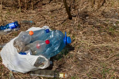 Atık plastik ve cam şişeler, paketler ve diğer atık türleri, kaçak bir parkta. Çevre kirliliği konsepti