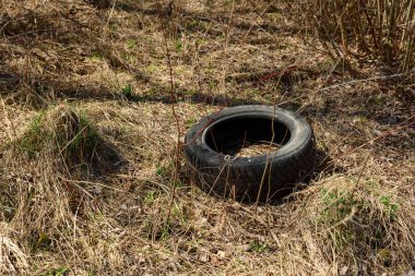 Eski kullanılan araba lastiği parkta yasadışı atık. Çevre kirliliği konsepti