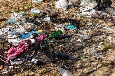 Atık plastik ve cam şişeler, paketler ve diğer atık türleri, kaçak bir parkta. Çevre kirliliği konsepti