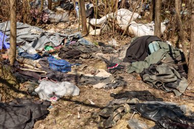 Atık plastik ve cam şişeler, paketler ve diğer atık türleri, kaçak bir parkta. Çevre kirliliği konsepti