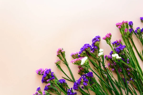 Wavy leaf sea lavender flowers (Limonium) lined up diagonally in the lower right corner on pink background. Top view. Copy space