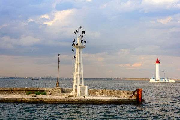 Vorontsov Lighthouse Odessa Ukraine Seascape Black Sea — Stock Photo, Image