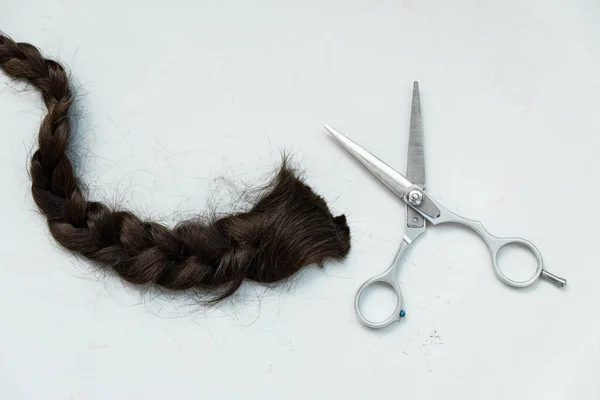 Tijeras de peluquería con corte de coleta de pelo castaño sobre fondo de madera gris. Copiar espacio. Vista superior. Puesta plana — Foto de Stock