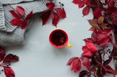 Gri ahşap arka plan üzerinde girlish (yabani) üzüm veya parthenocissus kırmızı yaprakları ile çay Fincan. Üst te. Düz yatıyordu. Sonbahar