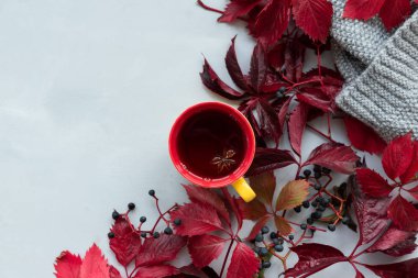 Gri ahşap arka plan üzerinde girlish (yabani) üzüm veya parthenocissus kırmızı yaprakları ile çay Fincan. Üst te. Düz yatıyordu. Sonbahar