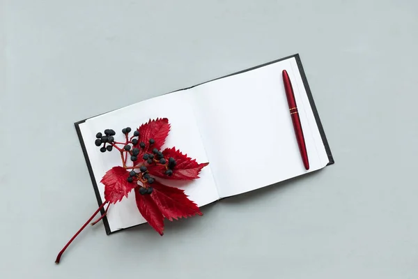 Открытый Пустой Блокнот Красными Листьями Женского Дикого Винограда Сером Деревянном — стоковое фото