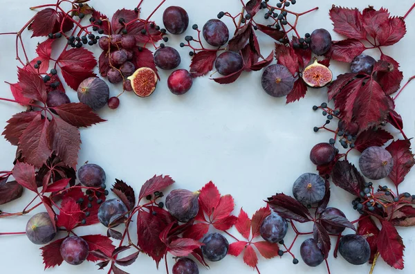 Autumn frame of purple girlish (wild) grape leaves, grapes, plums and figs on gray wooden background. Top view. Flat lay. Autumn harvesting or Thanksgiving celebration concept.