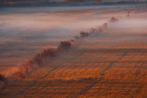 Primer Plano Colorido Campo Otoño Amanecer Vista Aérea Sobre Campo —  Fotos de Stock