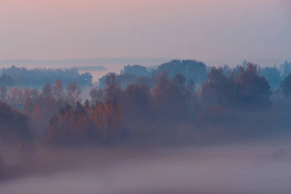 Close Colorful Foggy Autumn Field Sunrise Aerial View Countryside Colorful — Stock Photo, Image