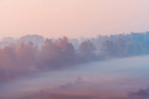 Gündoğumunda Manzara Sisli Sonbahar Manzarası Kırsal Bölgede Hava Manzarası Renkli — Stok fotoğraf