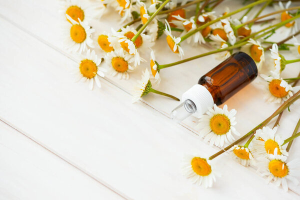 Chamomile flowers and cosmetic bottles of essential oil on white wooden background. Flat lay. Top view. Copy space