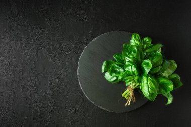 Yuvarlak tabakta taze yeşil fesleğen ve koyu beton arka plan. Üst Manzara. Düz yatıyordu