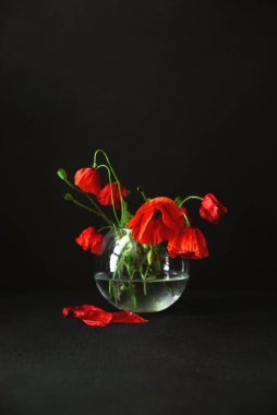Siyah arka planda bir buket kırmızı haşhaş. Anma Günü konsepti