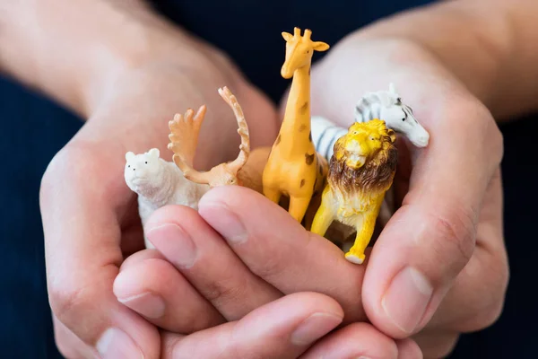 Hände Halten Figuren Wilder Tiere Giraffe Zebra Tiger Bär Und — Stockfoto