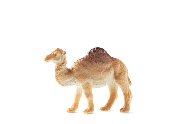 Mini Figura Camelo Isolado Fundo Branco Brinquedo Plástico Animal — Fotografia de Stock