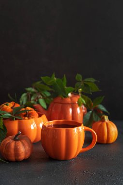 Balkabağı şekilli çaydanlık ve fincanla sonbahar çay seti ve siyah ahşap bir masada dekoratif balkabakları..
