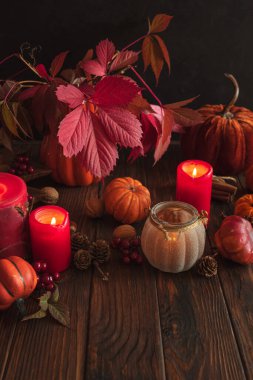 Balkabakları, Mumlar ve Mevsimlik Dekorasyonlarla Sonbahar Durgun Yaşamı