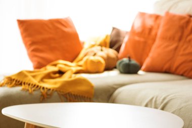 Boş kahve masası sonbahar oturma odası dekoruna, kadife balkabakları ve rahat yastıklarla