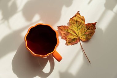 Kahve fincanı, balkabağı ve mevsimlik dekorla sonbahar yatağı