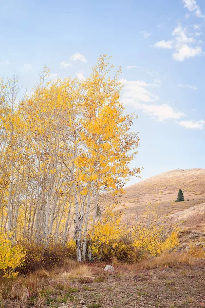 Paesaggio Autunnale Con Alberi Cielo Blu Nuvole — Foto Stock