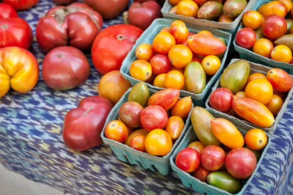Assorted Tomatoes Sale Farmers Market — Stock Photo, Image