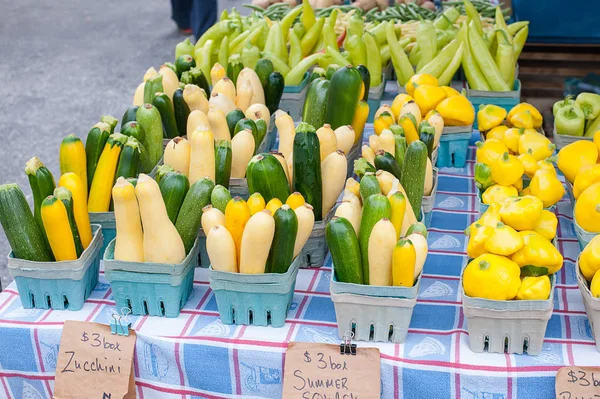 Assorted Varieties Summer Squash Zucchini Sale Farmers Market — Stock Photo, Image
