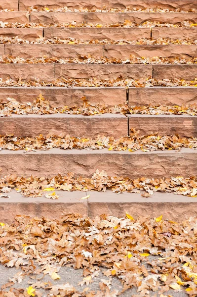 Hojas Otoño Una Escalera Roca Terrazas — Foto de Stock