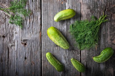 Turşu yapmak için malzemeler: salatalık ve dereotu.