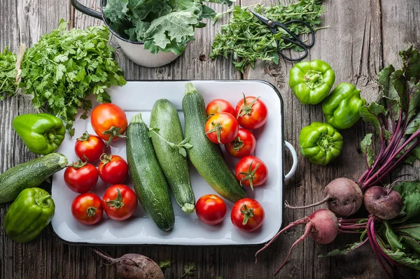 Freshly Picked Heirloom Tomatoes Zucchini Beets Kale Peppers Cilantro Oregano Royalty Free Stock Photos