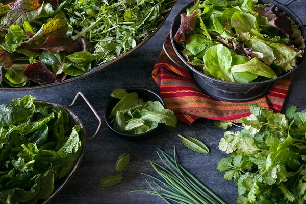 Assorted Bowls Filled Variety Leafy Greens Including Lettuce Chard Arugula — Stock Photo, Image