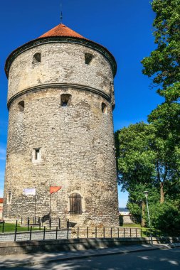 kule Kiek de Kok Tallinn adlı bir bakış. Estonya