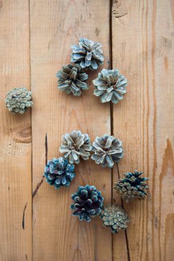 çam kozalakları üzerindeki ahşap arka plan