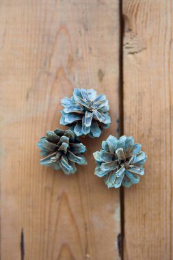 çam kozalakları üzerindeki ahşap arka plan