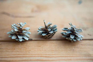 çam kozalakları üzerindeki ahşap arka plan