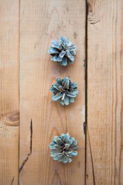 çam kozalakları üzerindeki ahşap arka plan